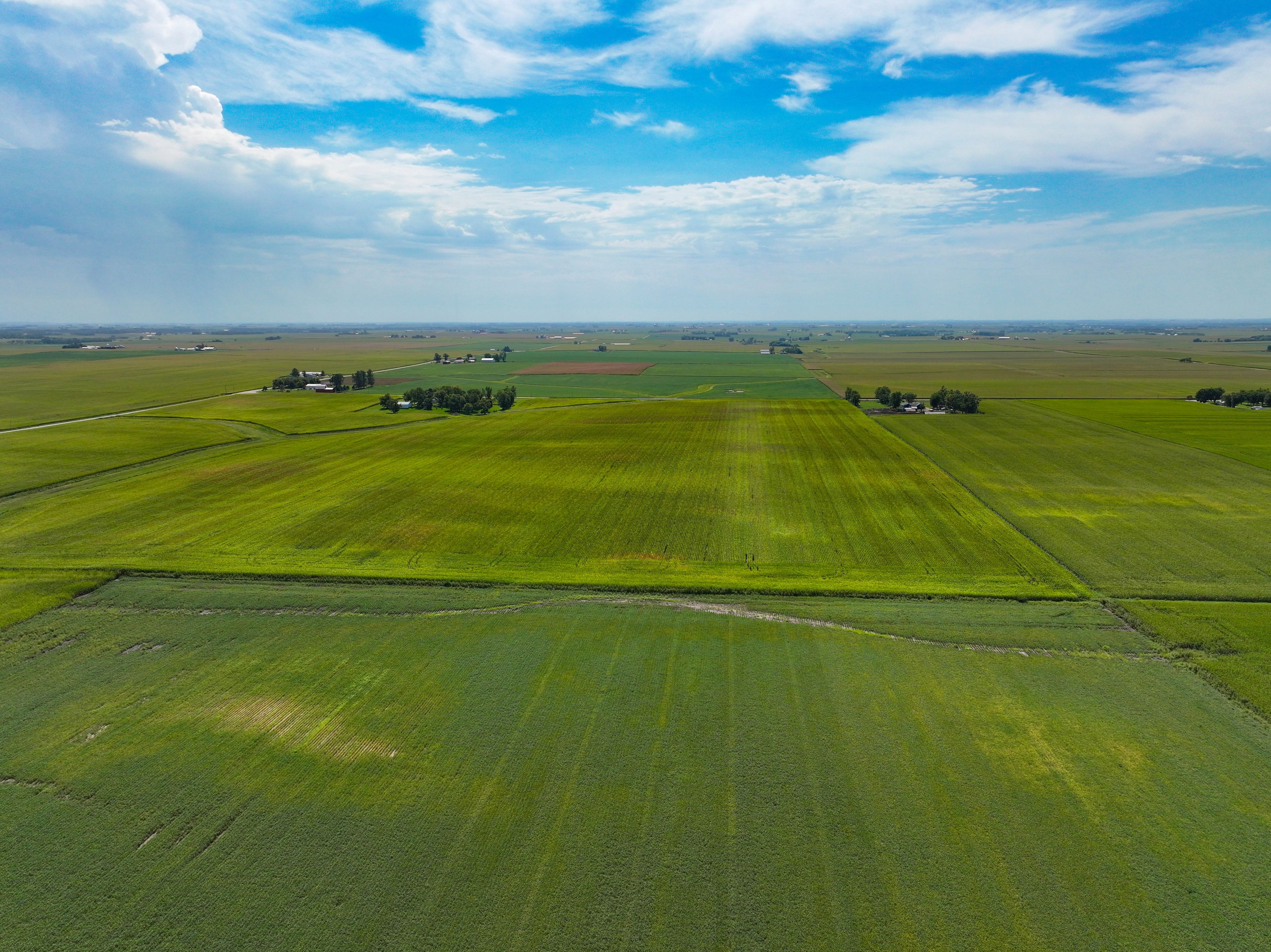 Listing Photo: 5_Black Hawk County Land Available